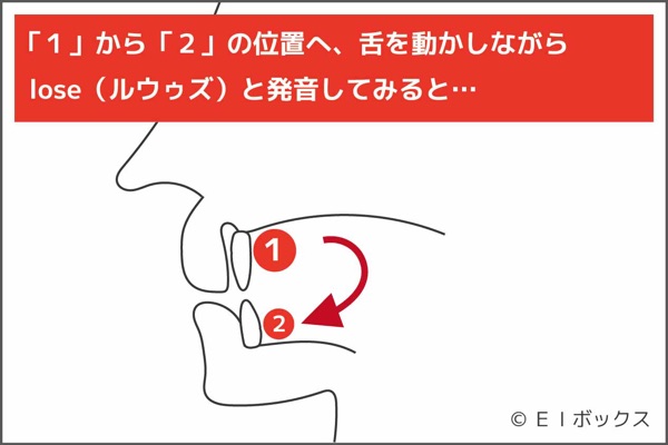 英語の発音教材「成功英語」13